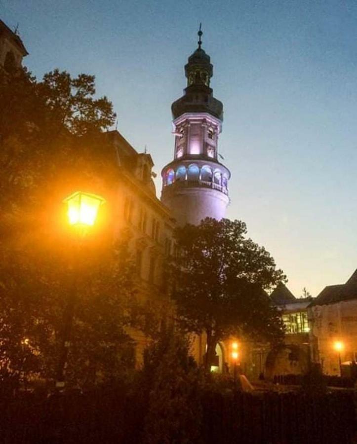 Gold Apartment Sopron Exterior photo